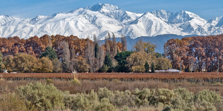 Mendoza