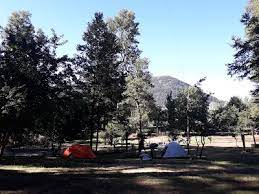 images/campings/san-martin-de-los-andes-camping-el-zorzal/1.jpeg